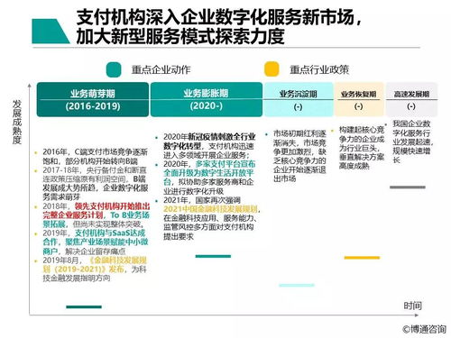 中国支付行业产业数字化服务专题分析2021 数字内容制作服务
